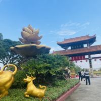 評論圖片 2
