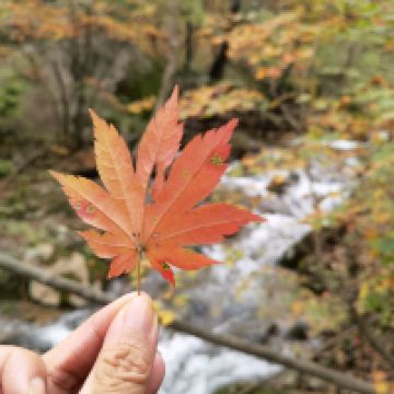 評論圖片 8