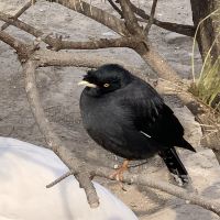 評論圖片 8