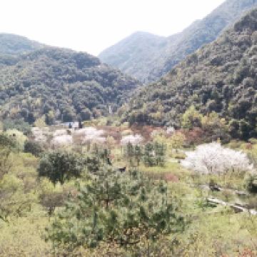 評論圖片 2