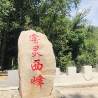 評論圖片 1