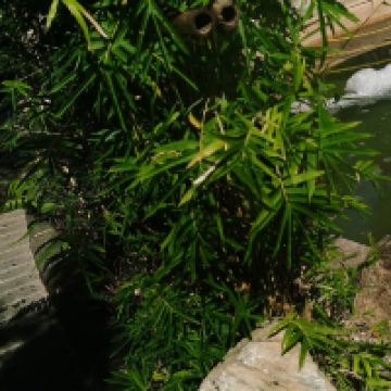 評論圖片 3