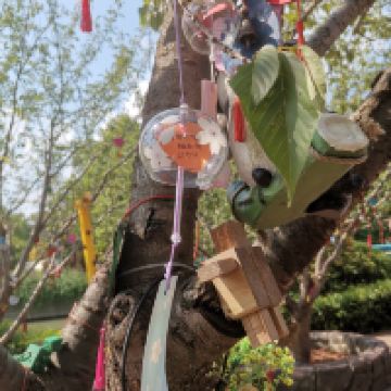 評論圖片 4