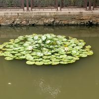 評論圖片 1