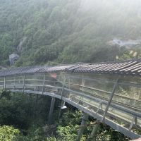 評論圖片 5