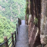 評論圖片 1