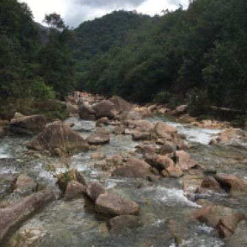評論圖片 4