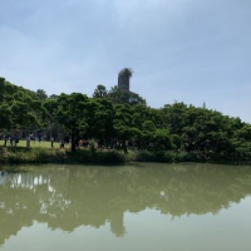 評論圖片 5