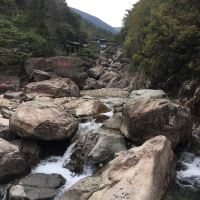 評論圖片 2