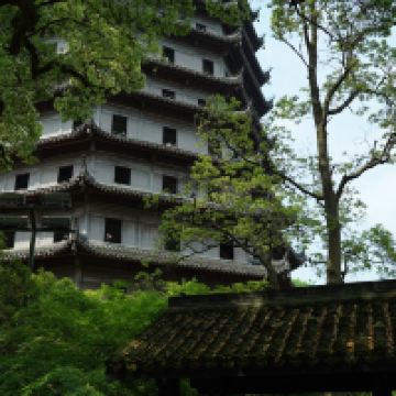 評論圖片 7