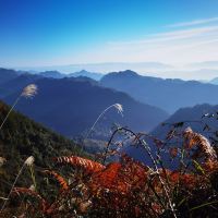 評論圖片 1