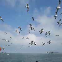 評論圖片 1