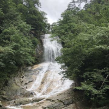 評論圖片 3