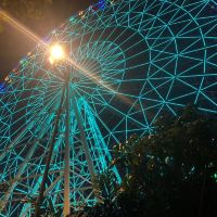 評論圖片 1