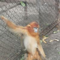 評論圖片 3