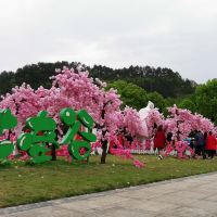 評論圖片 1