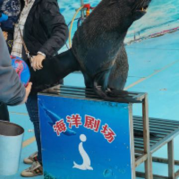 評論圖片 8