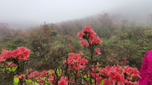 Xinxing Tianlushan Resort