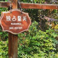 評論圖片 4