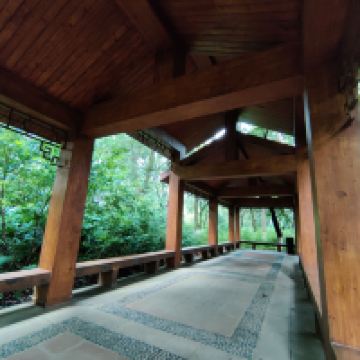 評論圖片 7