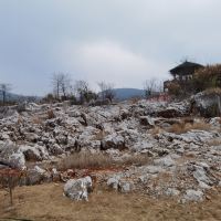 評論圖片 2