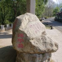評論圖片 1