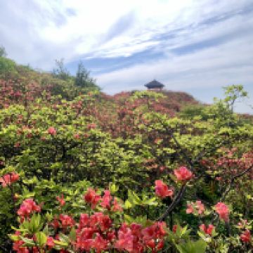 評論圖片 4