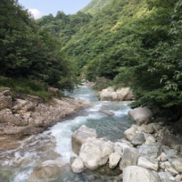 評論圖片 6