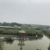 評論圖片 1