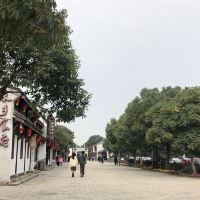 評論圖片 4