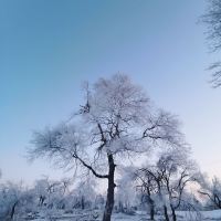評論圖片 7