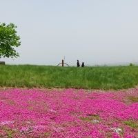 評論圖片 8