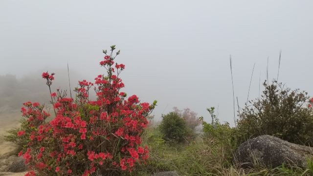Xinxing Tianlushan Resort