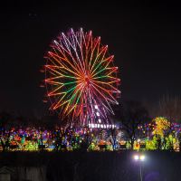 評論圖片 4