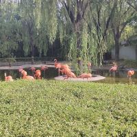 評論圖片 6