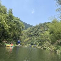 評論圖片 1