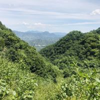 評論圖片 8