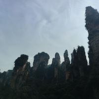 評論圖片 1