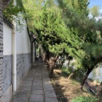 評論圖片 3