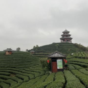 評論圖片 2