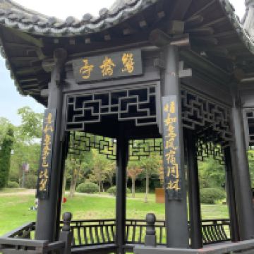 評論圖片 3