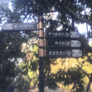 評論圖片 1