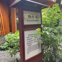 評論圖片 3