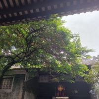 評論圖片 4