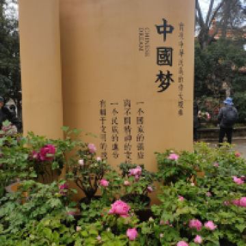 評論圖片 2