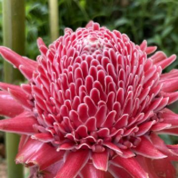 評論圖片 9