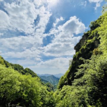 評論圖片 4