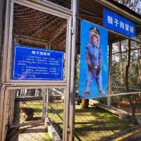 評論圖片 8