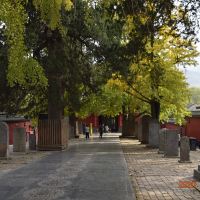 評論圖片 7