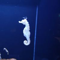 評論圖片 5